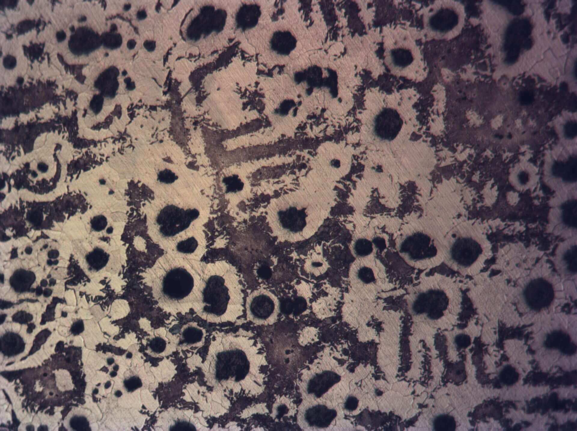 Ferro Fundido Nodular GGG40 - Propriedades Microestrutura 1 Curso Metalografia